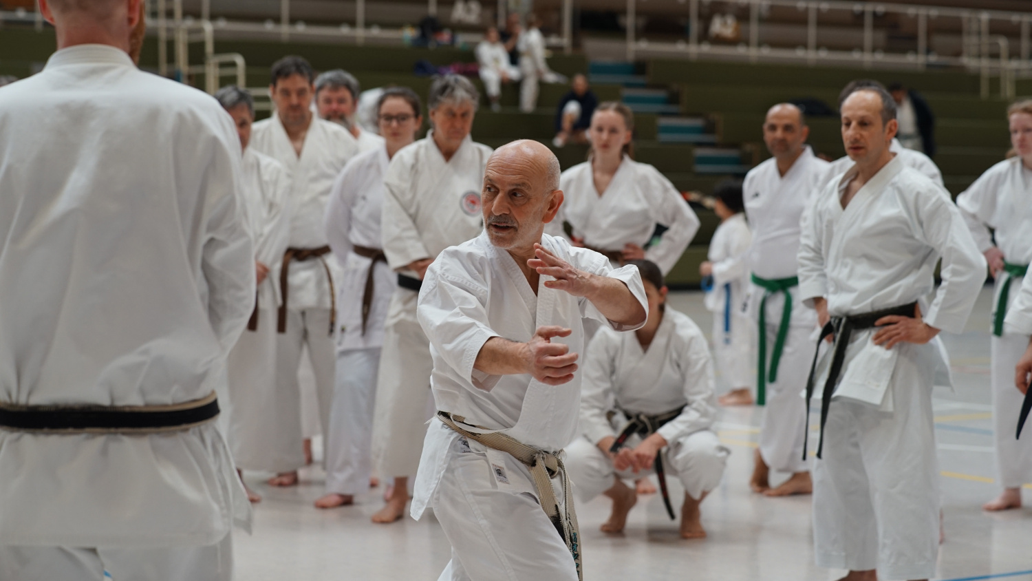 Fiore Tartaglia Technikdemonstartion